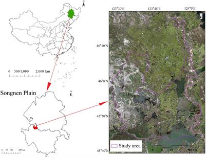 Determination of the Hydrodynamic Characteristics of a Typical Inland Saline-Alkali Wetland in Northeast China